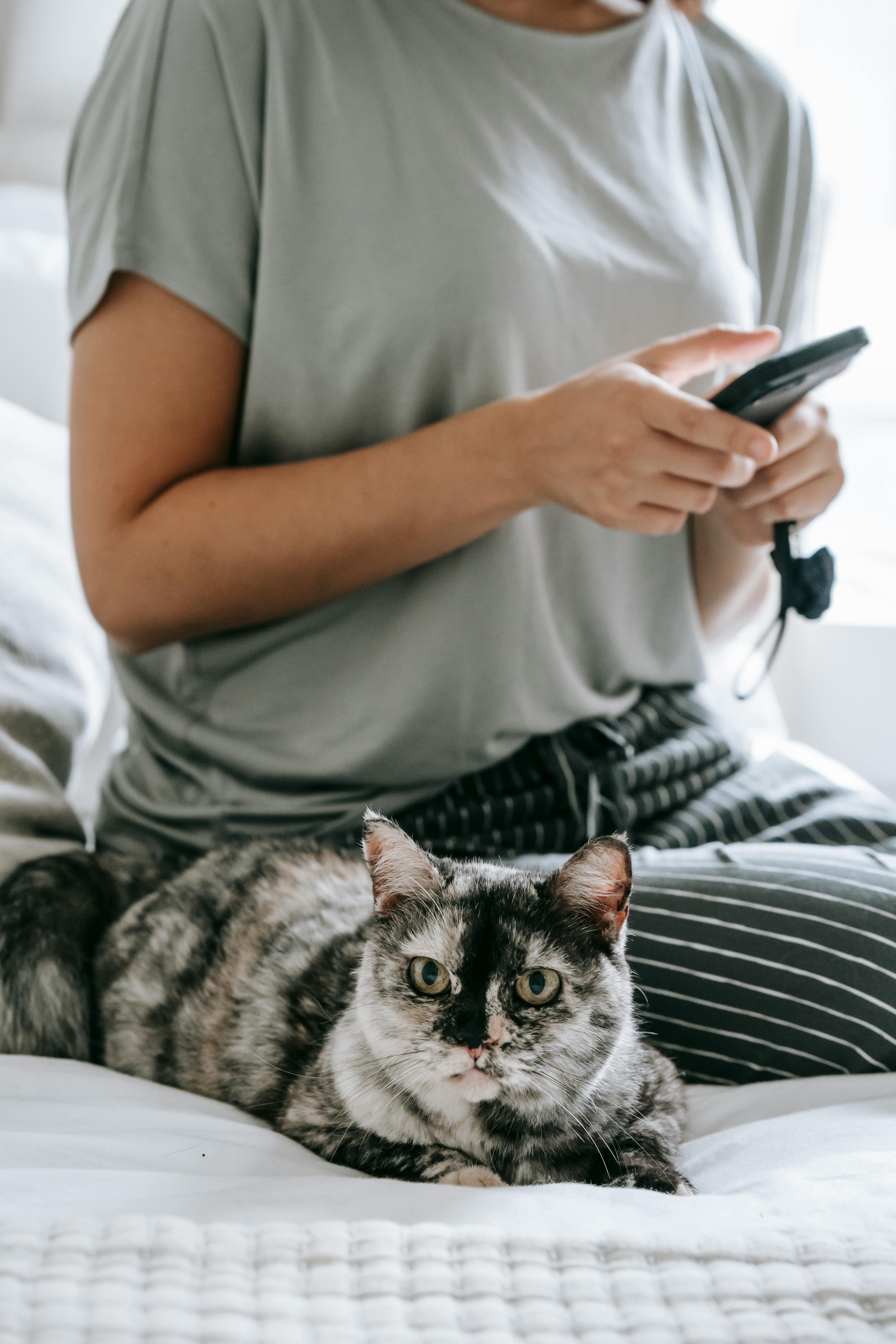 Best Canadian-Made Pet Products for Your Furry Friends
