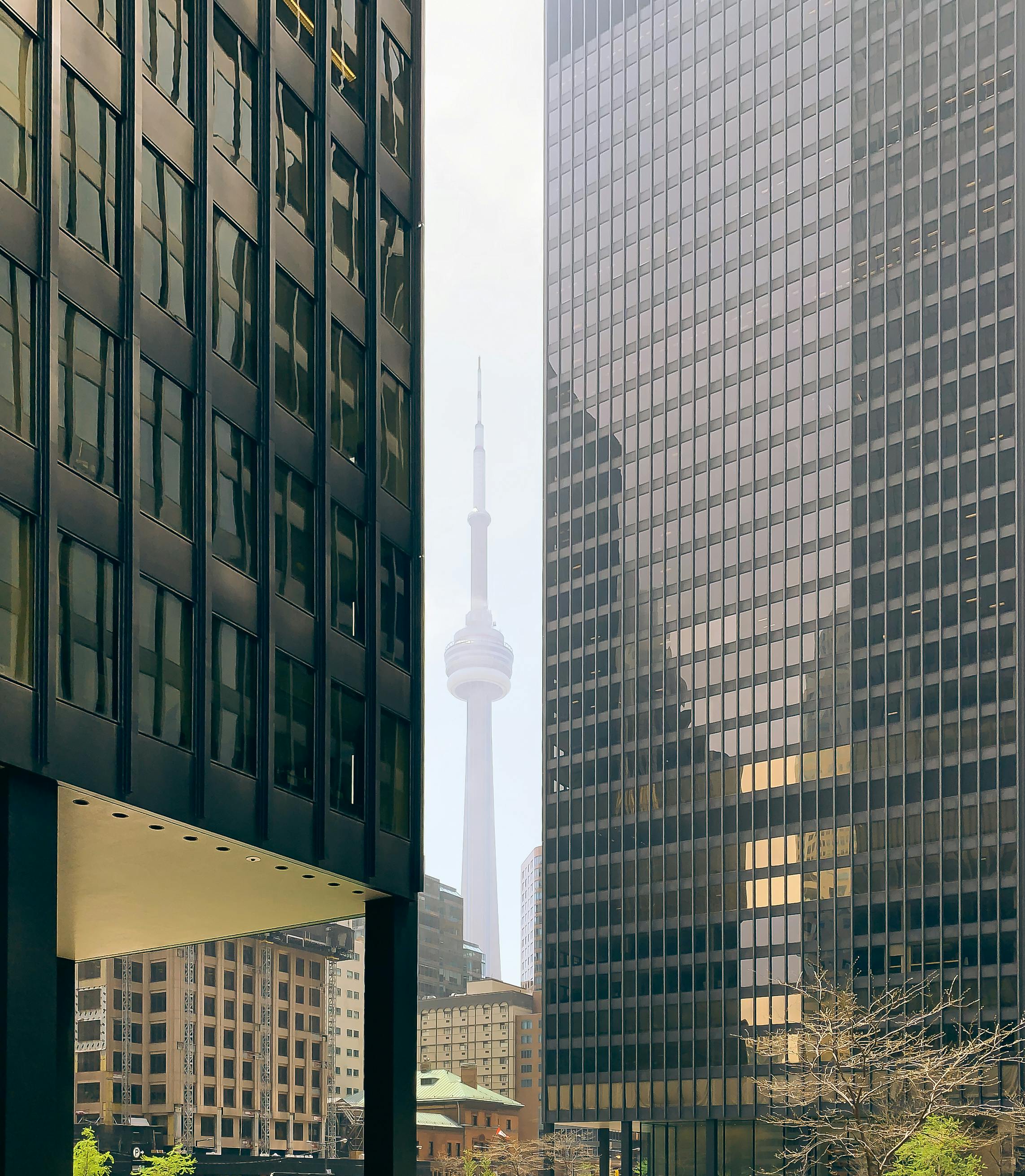 Supporting Canadian Innovation: Local Alternatives to U.S. Brands